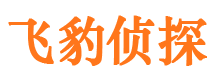 日喀则私家侦探